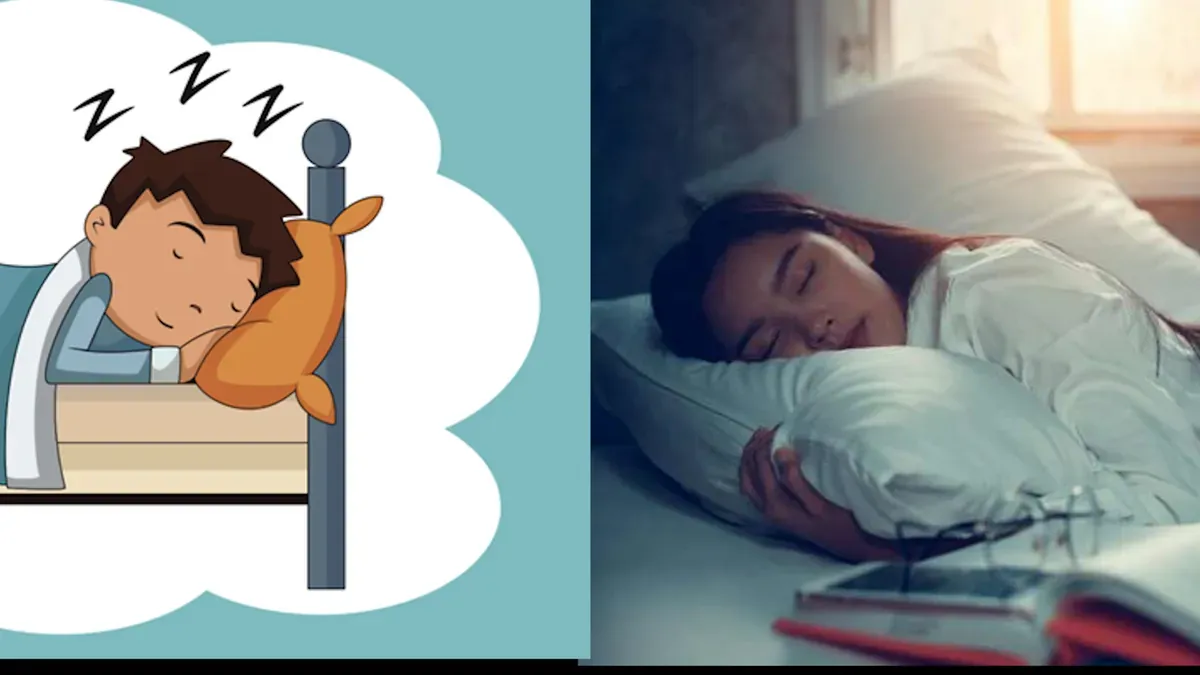 Giấc ngủ đóng vai trò như một “liệu pháp tự nhiên” hồi phục năng lượng cho cơ thể