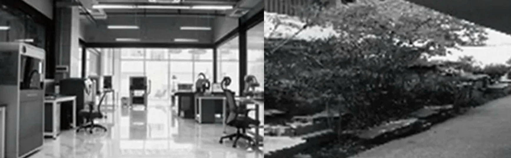 Trung tâm Y học Giấc ngủ Stanford