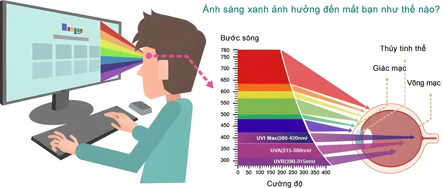 Tác hại của ánh sáng xanh đối với mắt