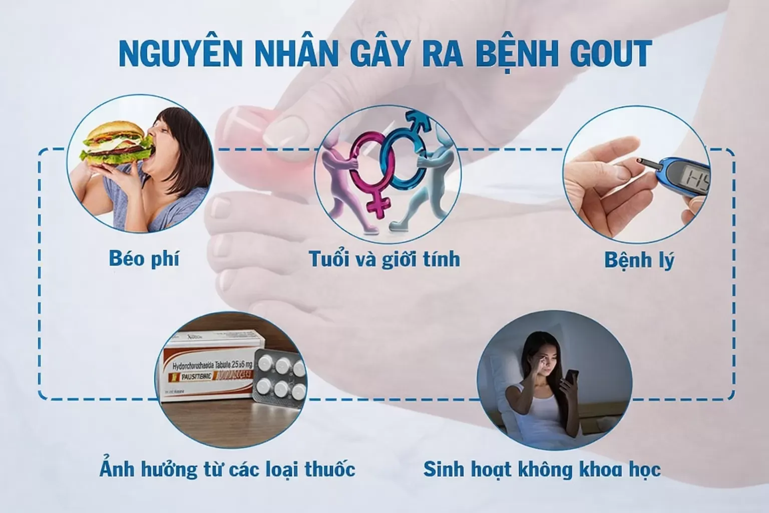Nguyên nhân gây nên bệnh gút