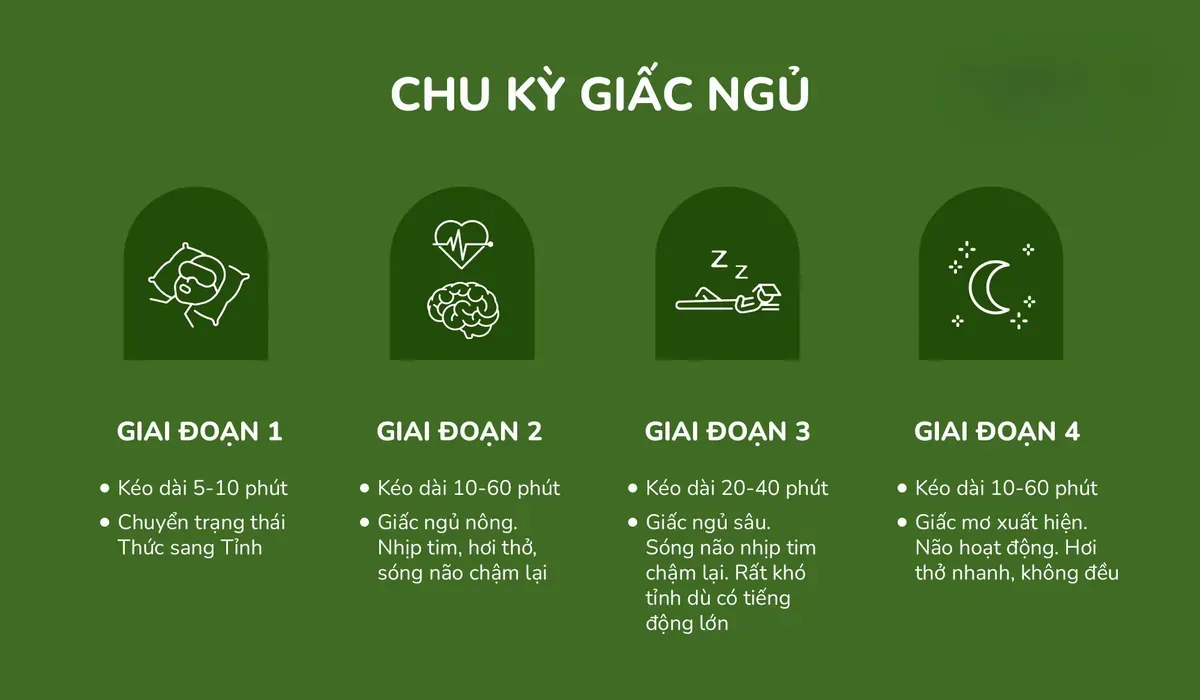 4 giai đoạn chính trong một chu kỳ giấc ngủ
