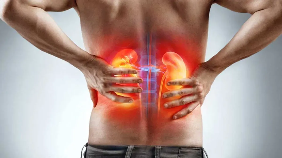 Vùng thắt lưng nằm sát hai quả thận nên đau ở đây có thể có nhiều nguồn gốc khác nhau