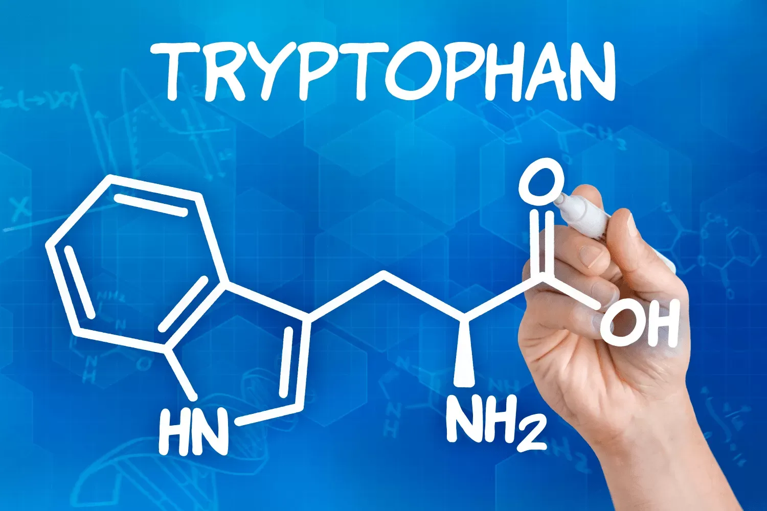 Tryptophan là gì